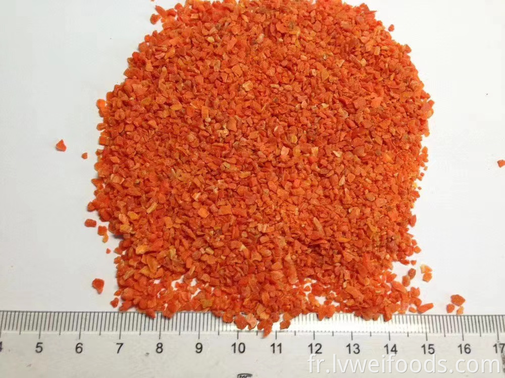 Noyau de Carotte Déshydraté3 3mm Dehydrated Carrot Kernel3 3mm